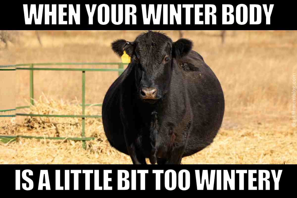 Summer Body Memes - 20+ Funny Images About Hot Bod Goals