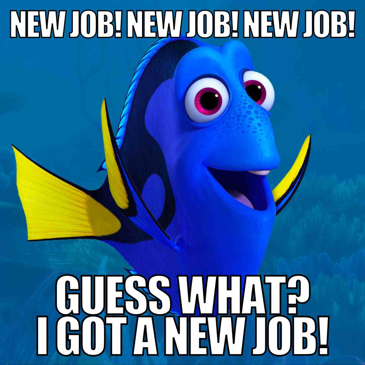 20 Hilarious New Job Memes To Celebrate Your Career Move