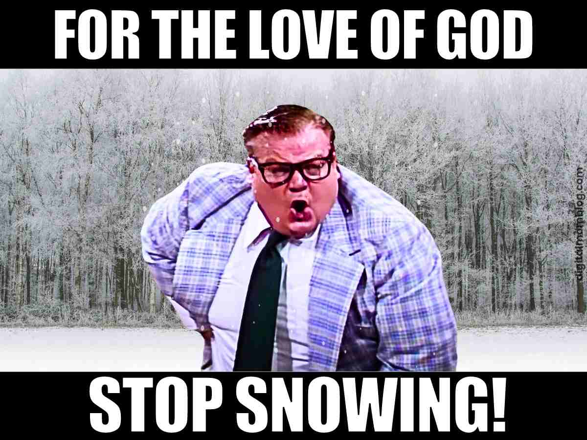 40 Funny Snow Memes That Capture The Frosty Fun