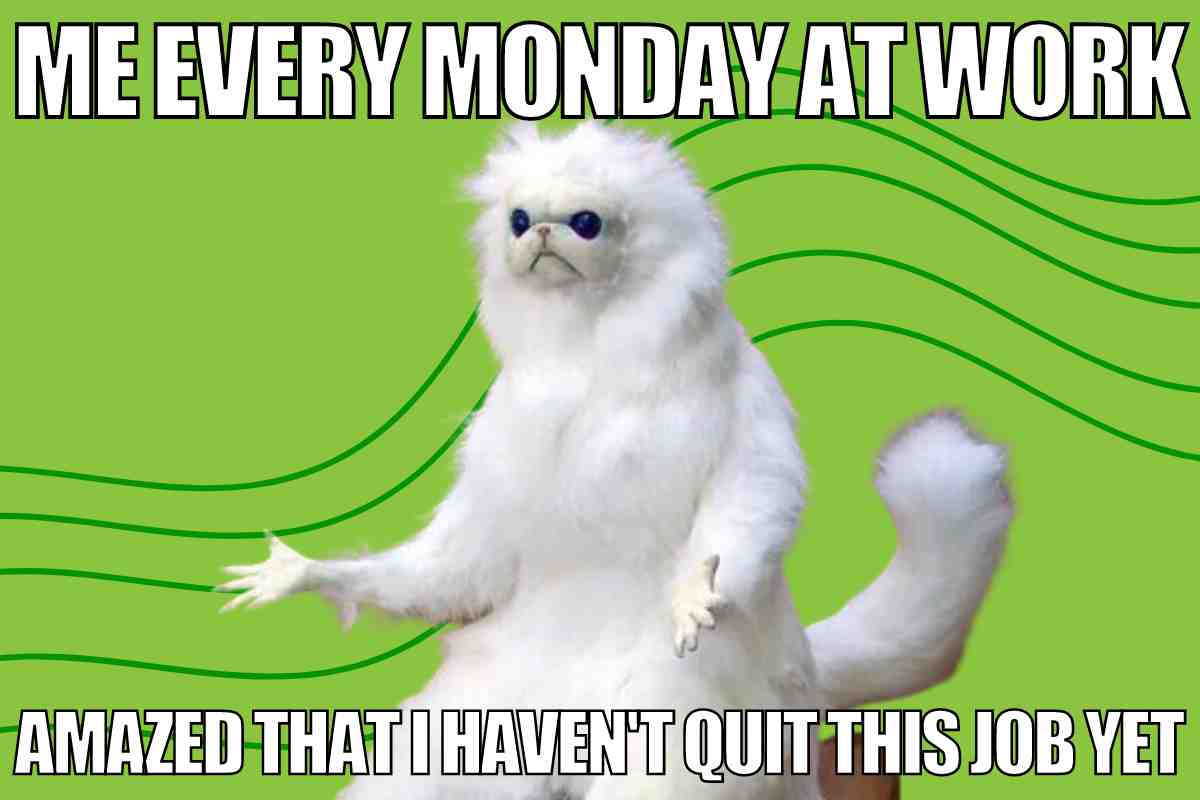 25 Best Monday Memes For Work To Kickstart Your Workweek