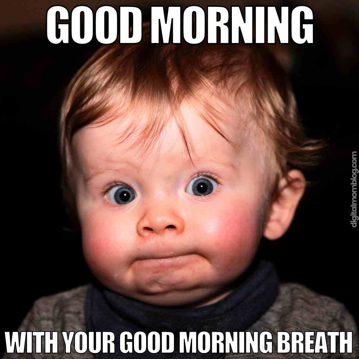 90 Best Funny Good Morning Memes To Kick Off The Day