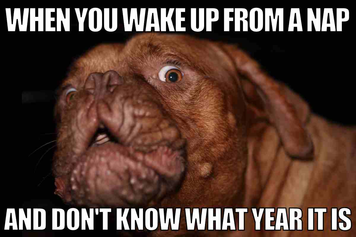 40 Best Nap Memes About Those Mid Day Sleeps