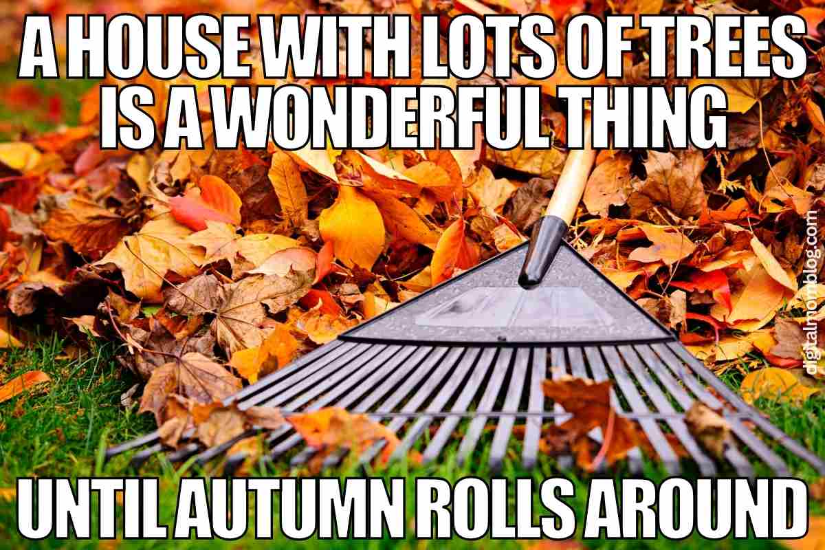 30 Hilarious Autumn Memes To Get You In The Fall Spirit