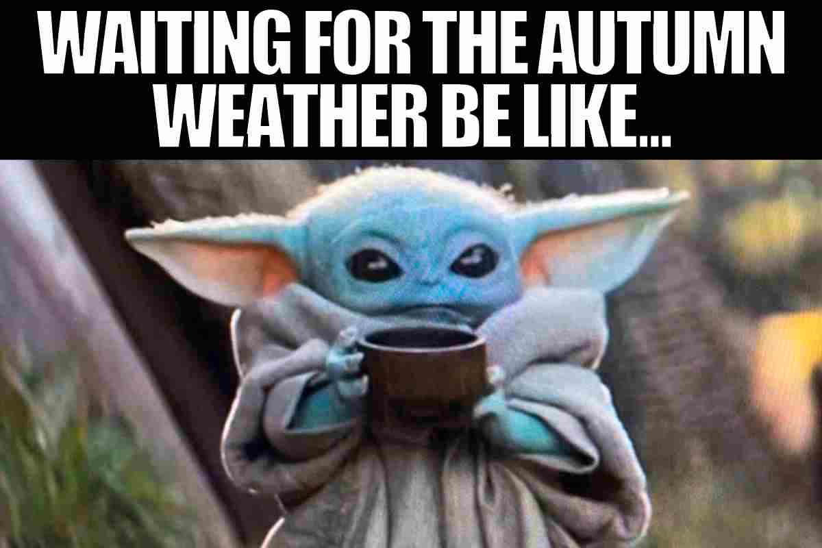 30 Hilarious Autumn Memes To Get You In The Fall Spirit