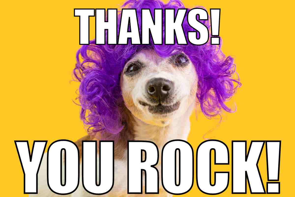 Best You Rock Memes To Make Someones Day 10000x Better