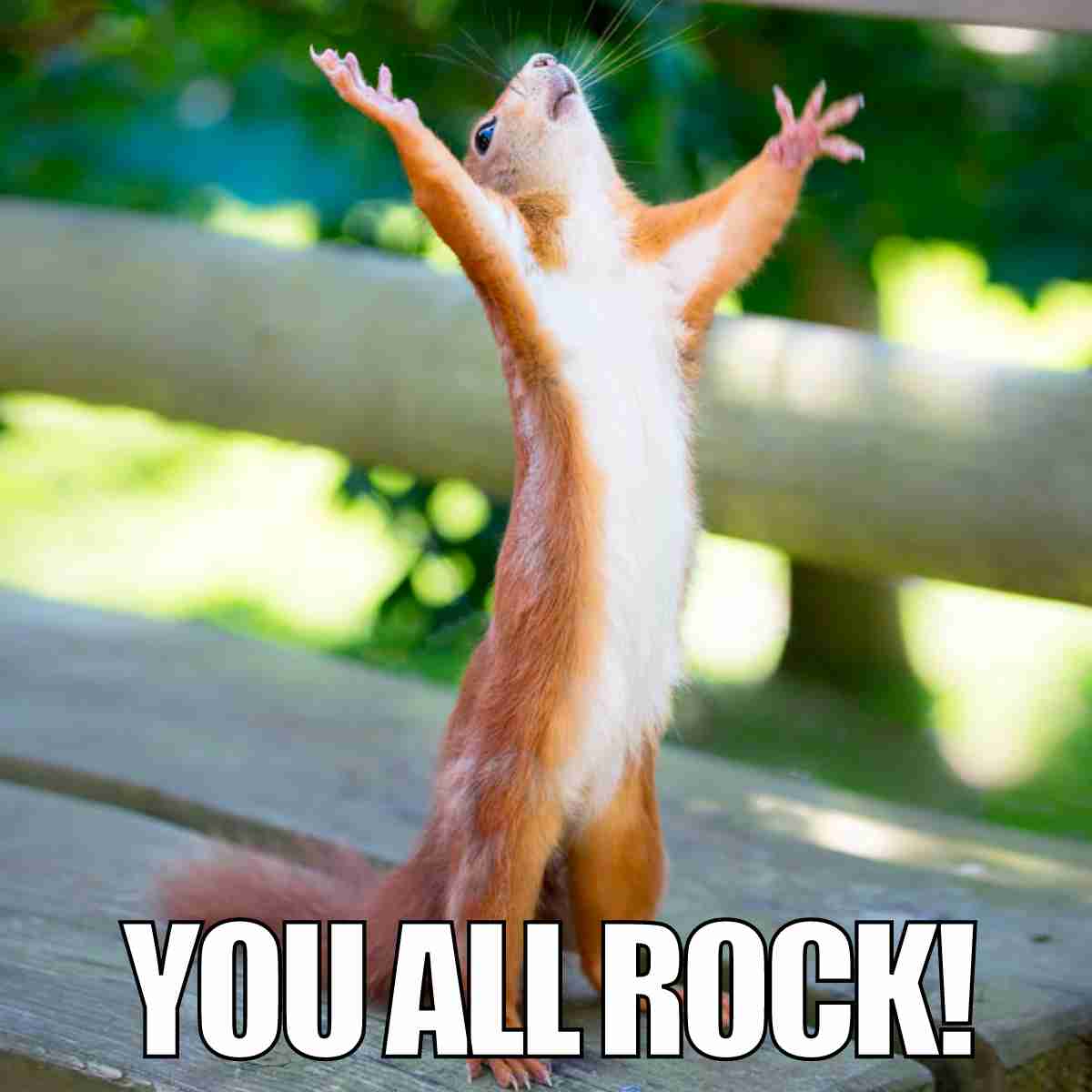 Best You Rock Memes To Make Someones Day 10000x Better