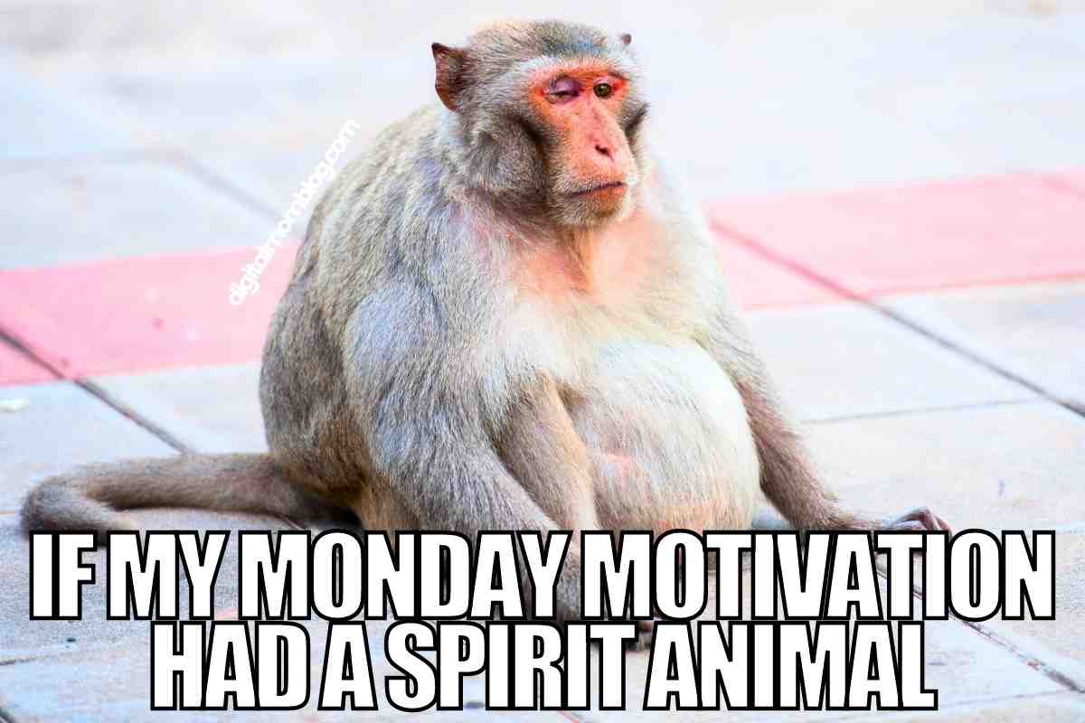 30 Awesome Monday Motivation Memes To Get You Going
