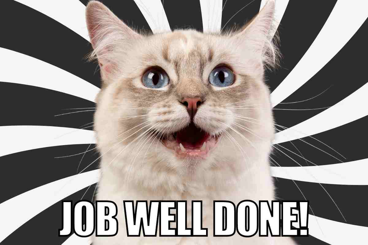 Best Job Memes That Perfectly Capture Your 9-to-5 Struggles