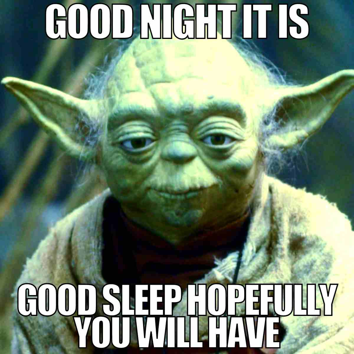 27 Best Goodnight Memes To Share Before Bedtime 27-best-goodnight-memes-to-share-before-bedtime