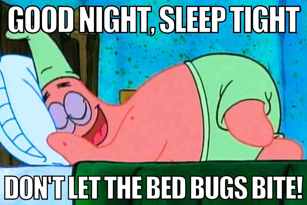 27 Best Goodnight Memes To Share Before Bedtime