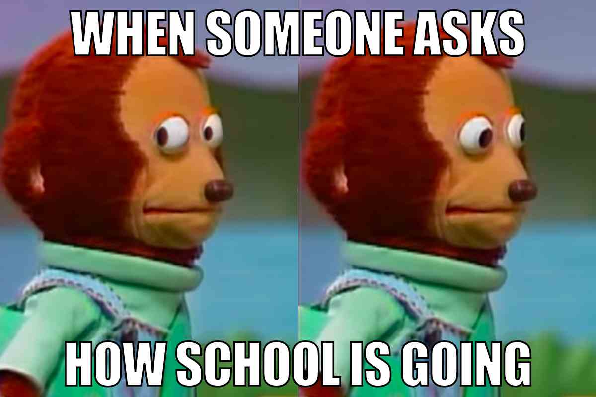 150 Hilarious School Memes For Teachers And Students