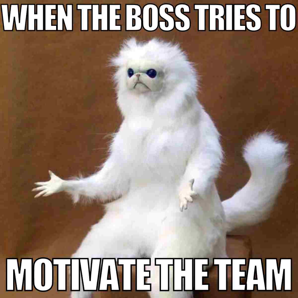 40 Best Motivation Memes To Help Inspire Your Hustle