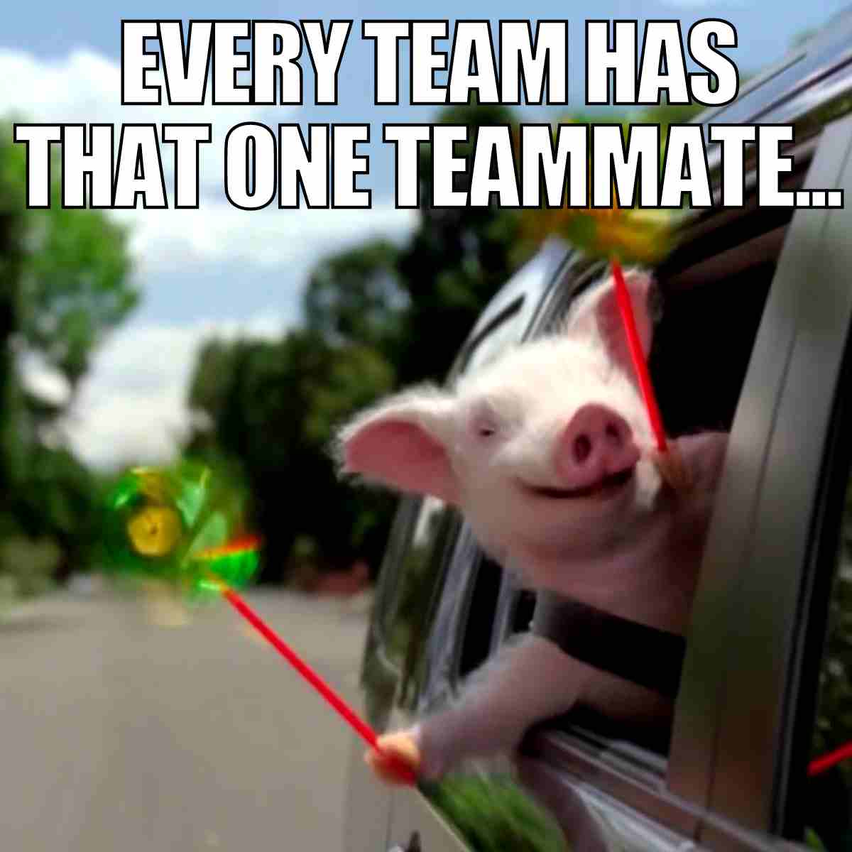 20 Best Team Memes To Share With Your Work Crew