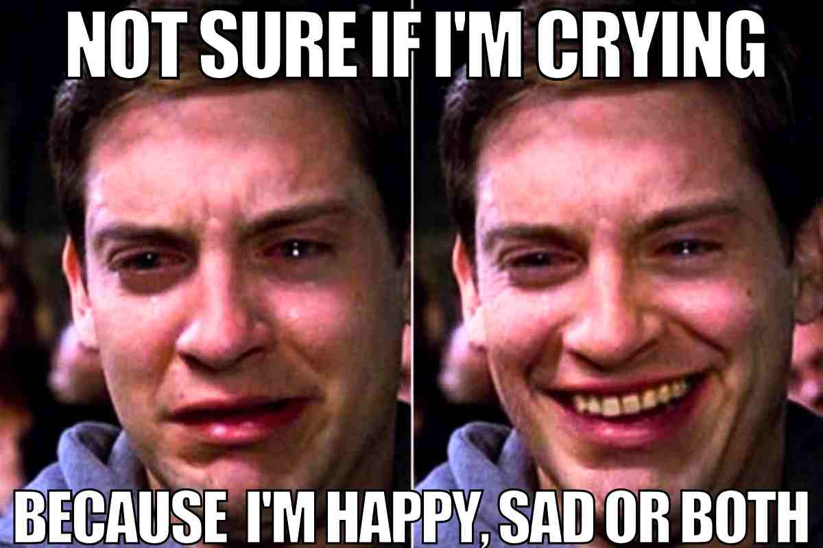 33 Crying Memes For The Crazy Rollercoaster We Call Life