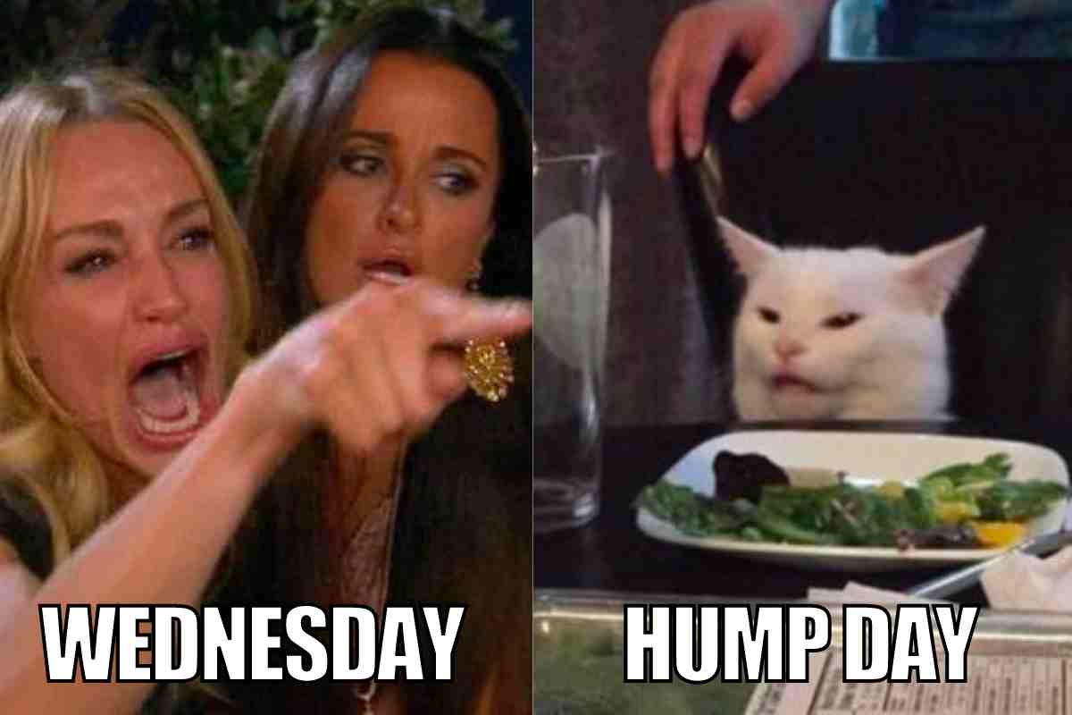 30 Hump Day Memes To Help You Laugh Thru Wednesday