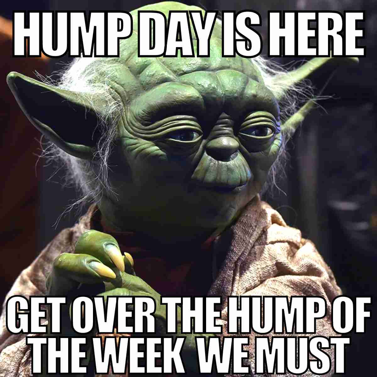30 Hump Day Memes To Help You Laugh Thru Wednesday