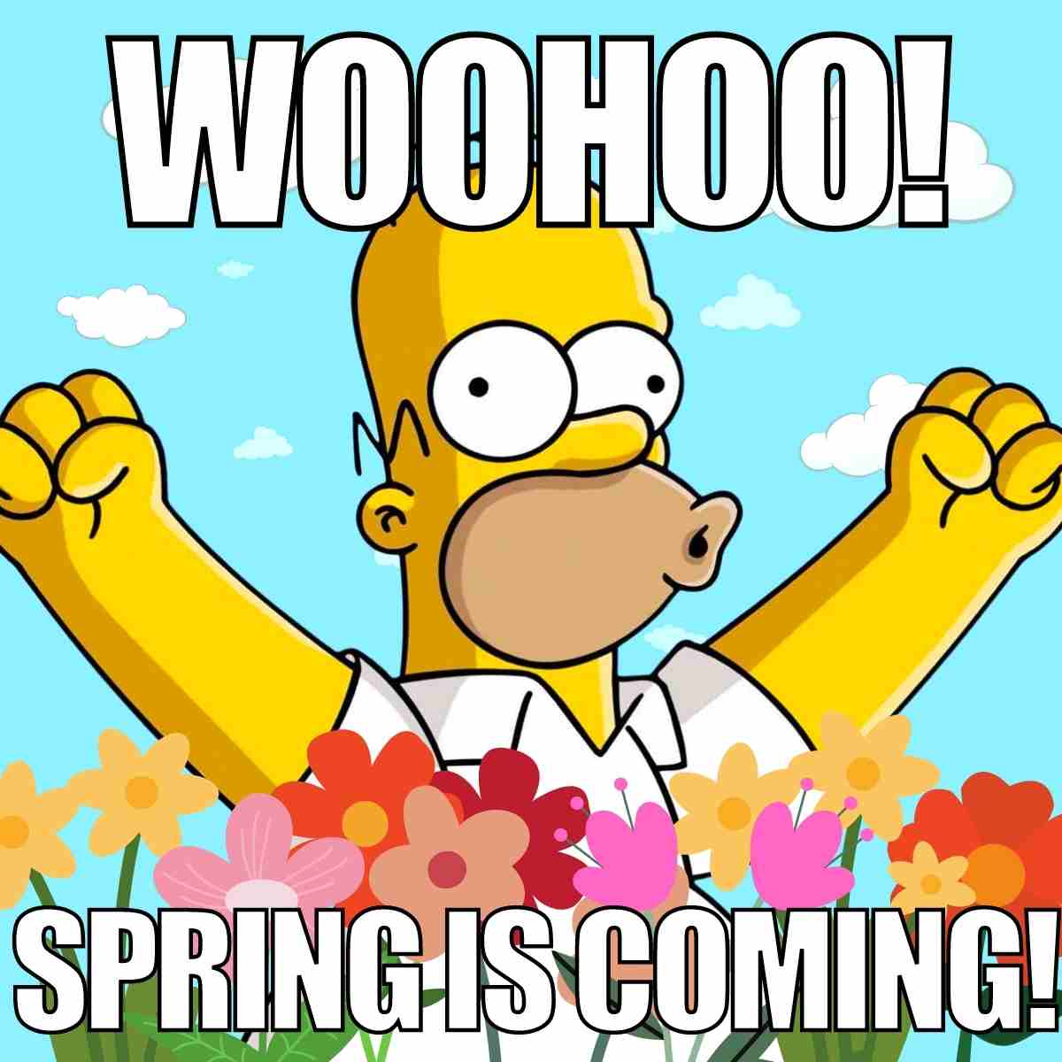 50 Funny Spring Memes To Have You Laughing All Season Long