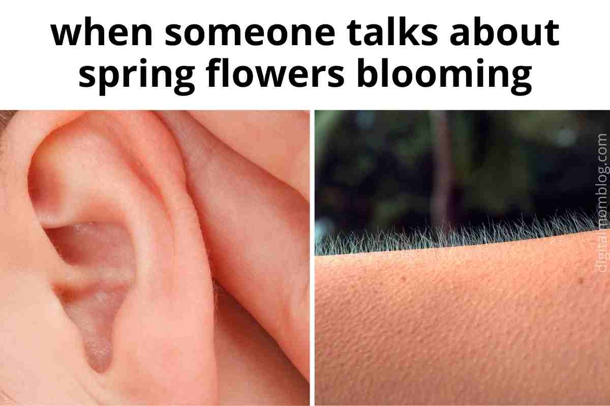 50 Funny Spring Memes To Have You Laughing All Season Long
