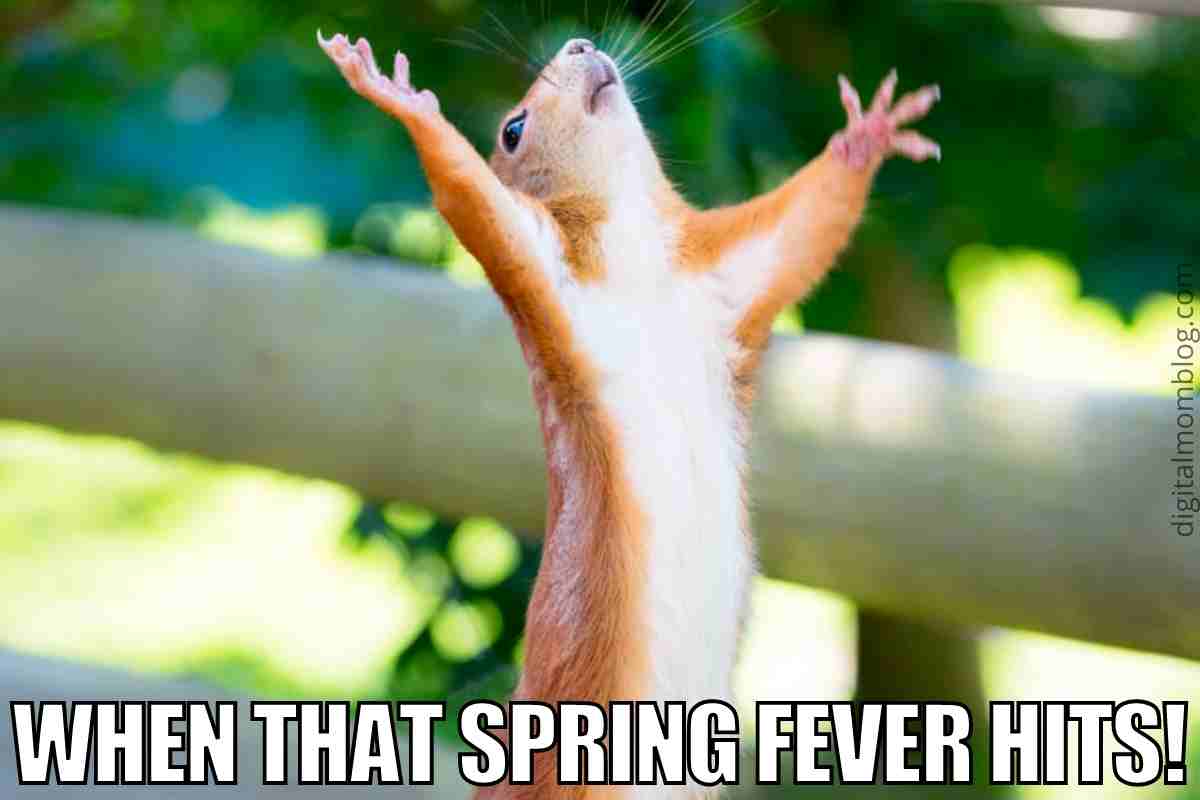 50 Funny Spring Memes To Have You Laughing All Season Long