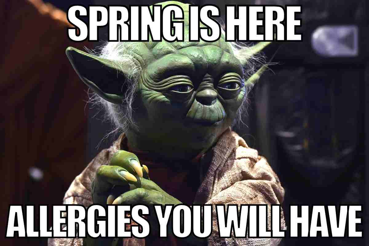 50 Funny Spring Memes To Have You Laughing All Season Long