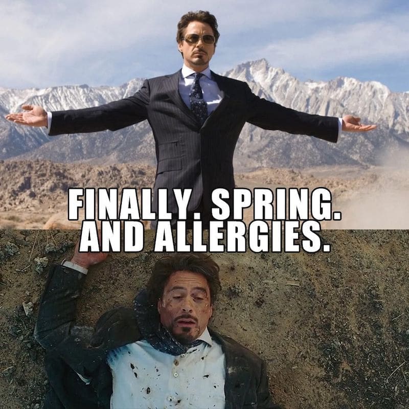 50 Funny Spring Memes To Have You Laughing All Season Long