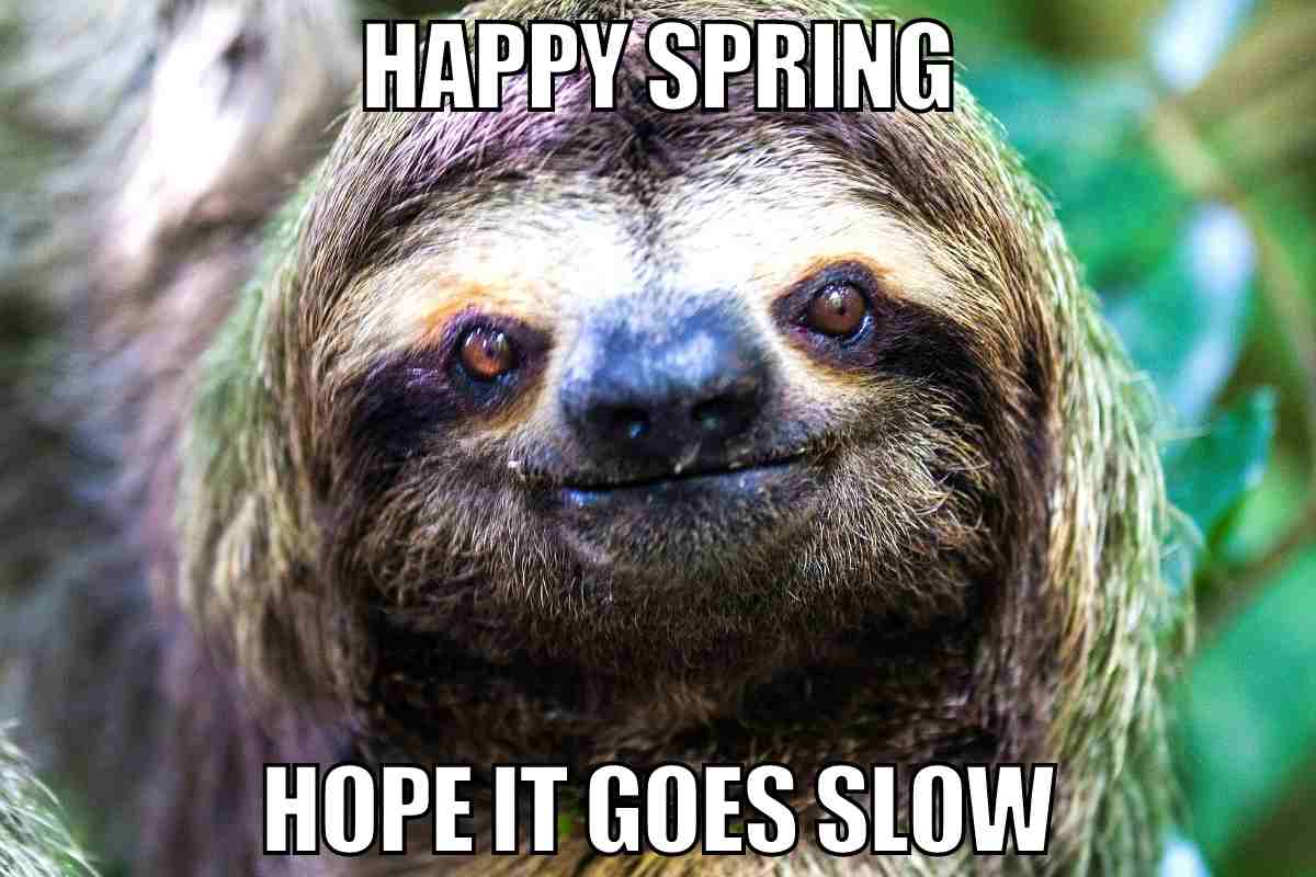 50 Funny Spring Memes To Have You Laughing All Season Long