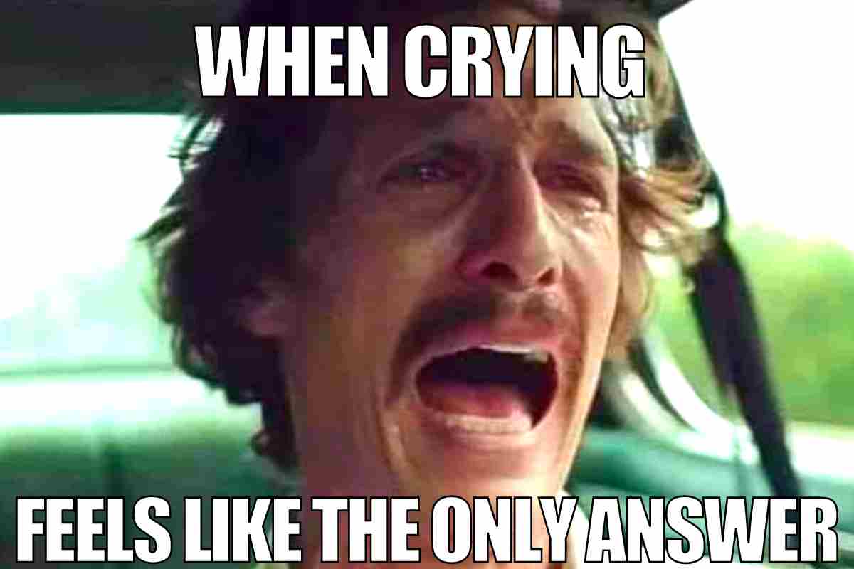 33 Crying Memes For The Crazy Rollercoaster We Call Life