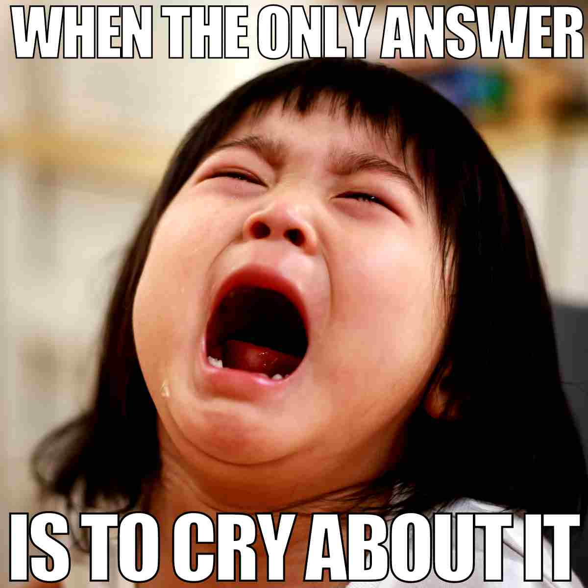 33 Crying Memes For The Crazy Rollercoaster We Call Life 33-crying-memes-for-the-crazy-rollercoaster-we-call-life