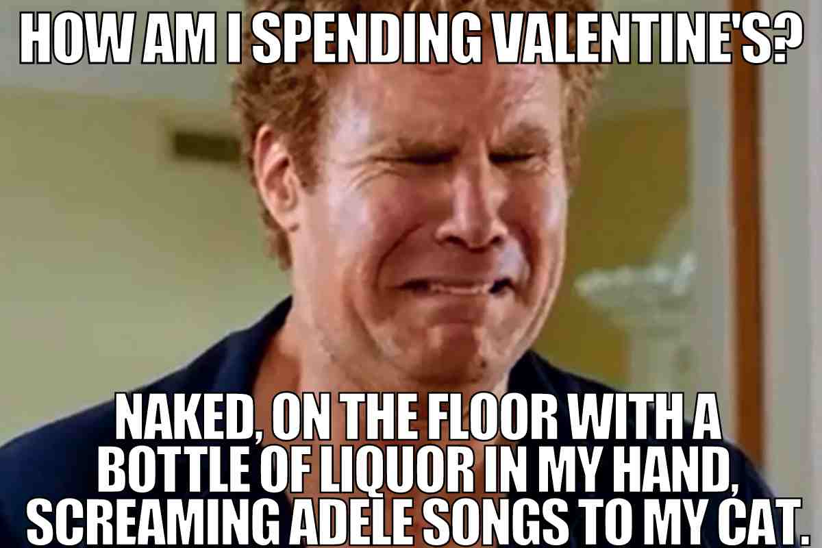 50 Hilarious Valentine Memes For Lovebirds And Singles Alike