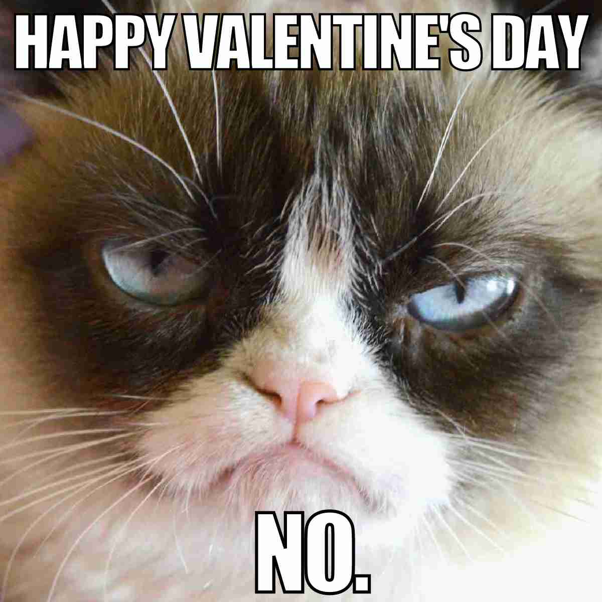 50 Hilarious Valentine Memes For Lovebirds And Singles Alike