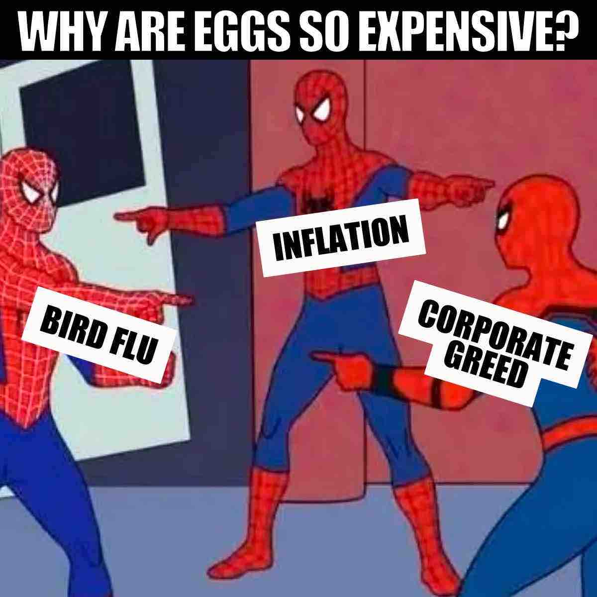 25 Funny Egg Memes About Egg Prices That Will Crack You UP!