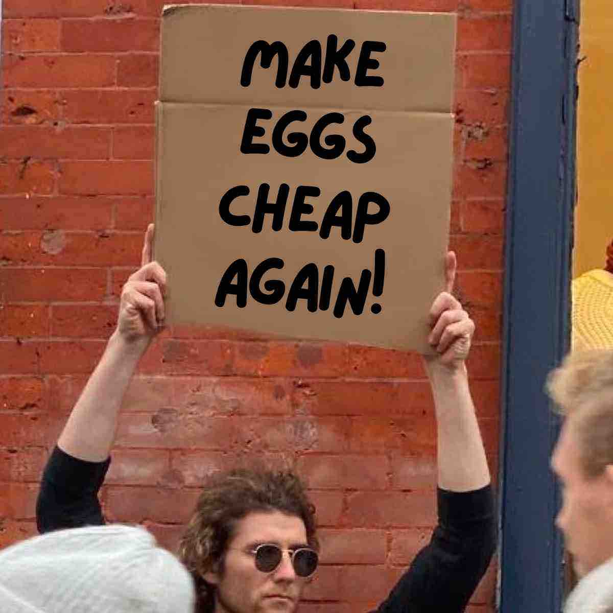 25 Funny Egg Memes About Egg Prices That Will Crack You UP!