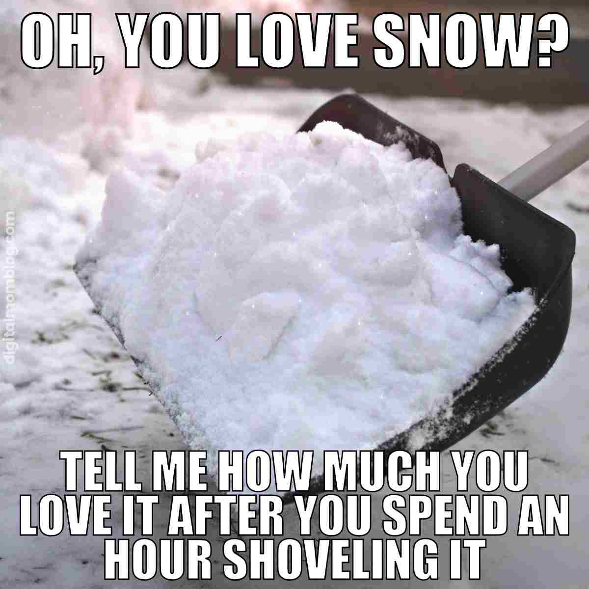 40 Funny Snow Memes That Capture The Frosty Fun