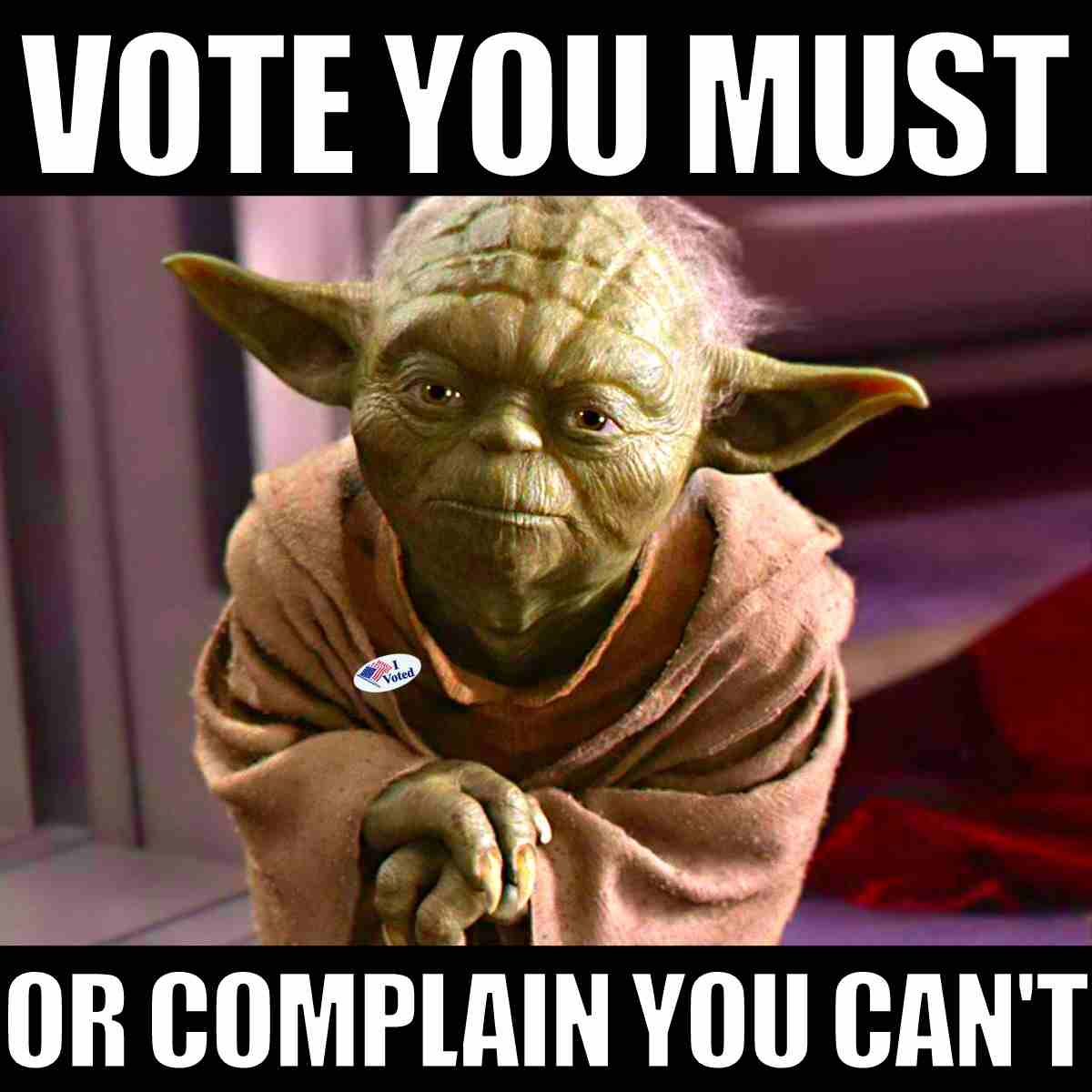Best Vote Memes 2024: Using Humor To Encourage Voting
