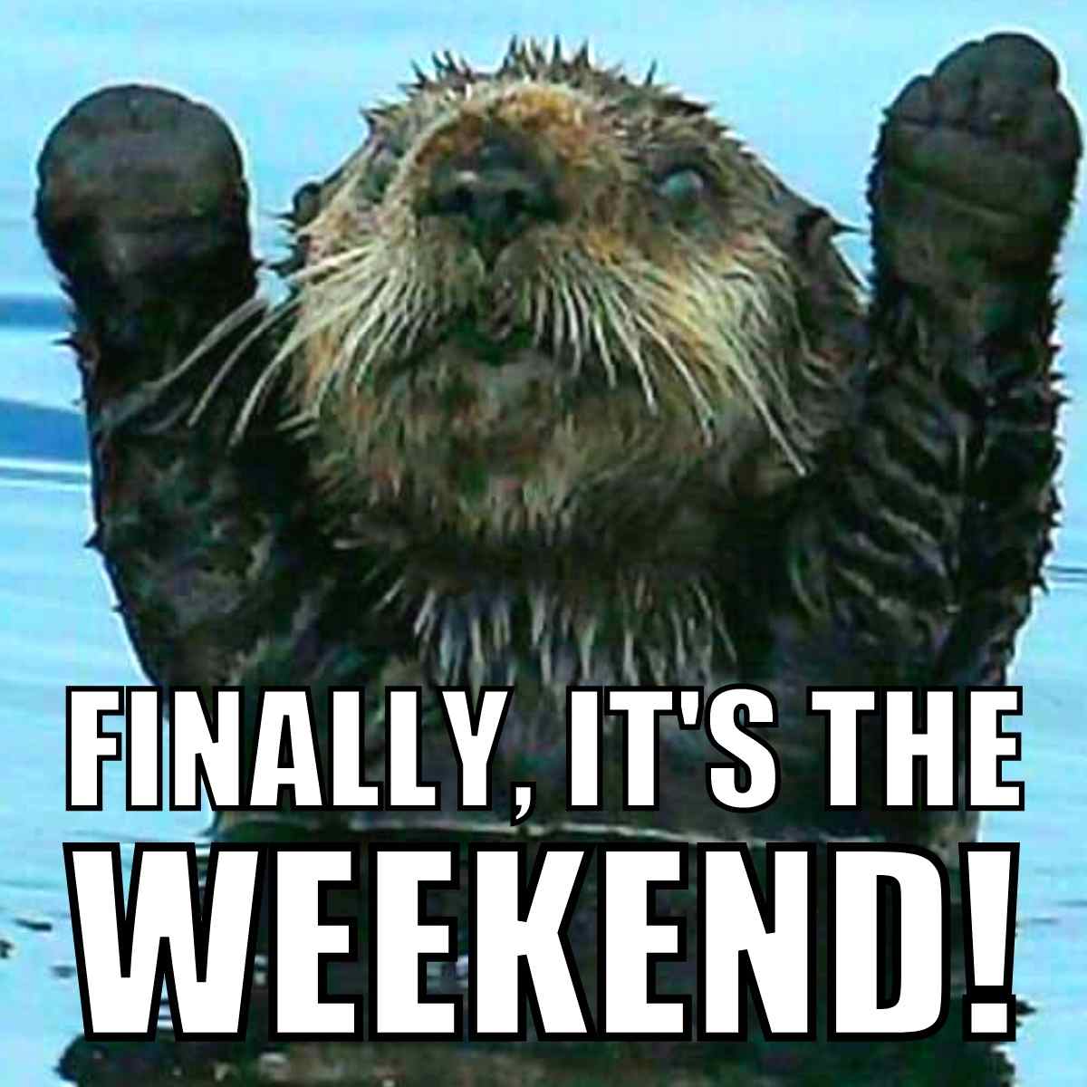 25 Weekend Memes That Will Make You Forget About Monday