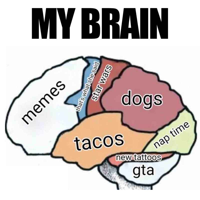 20 Funny Big Brain Memes And GIFs For Genius Smarty Pants