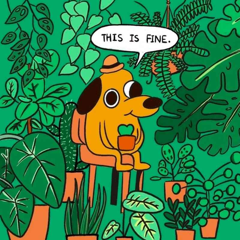 40 Hilarious Plant Memes That Every Gardener Can Relate To