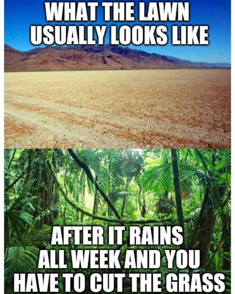Stop Raining! 15 Hilarious Memes That Beg The Rain To Stop