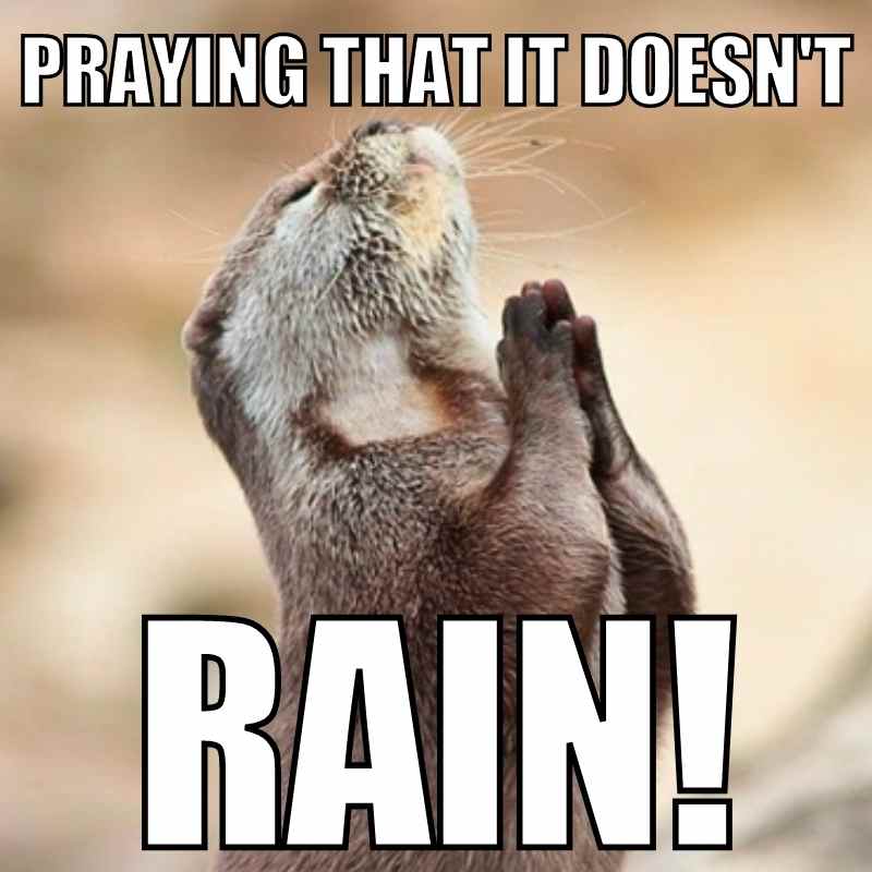 Stop Raining! 15 Hilarious Memes That Beg The Rain To Stop