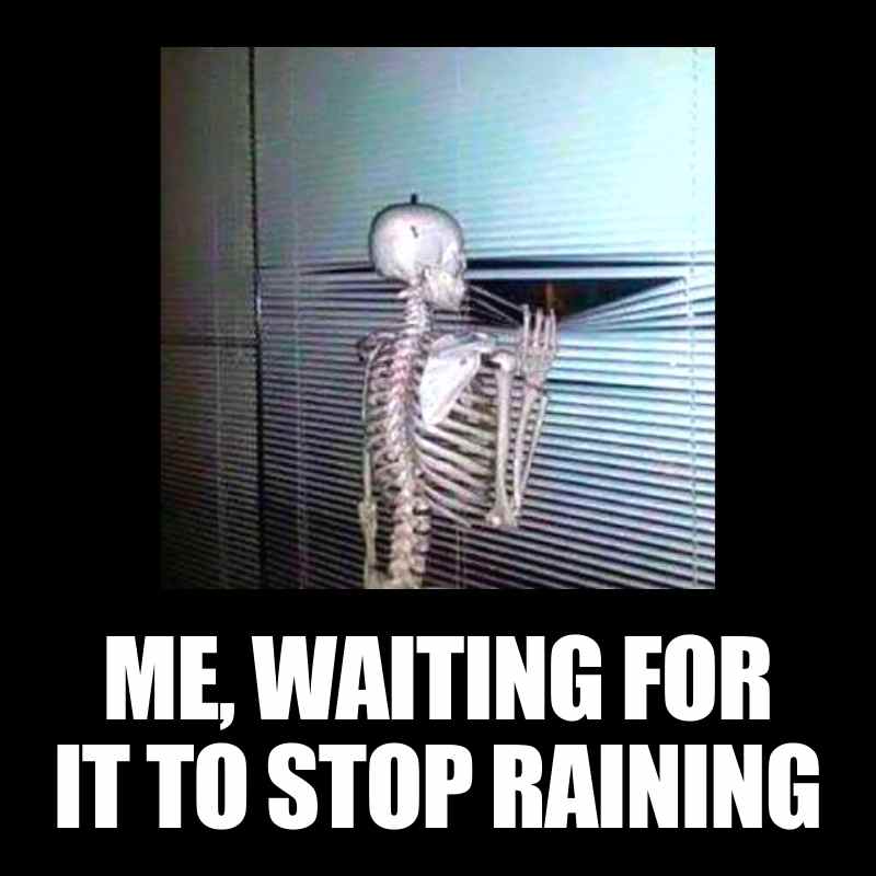 Stop Raining! 15 Hilarious Memes That Beg The Rain To Stop
