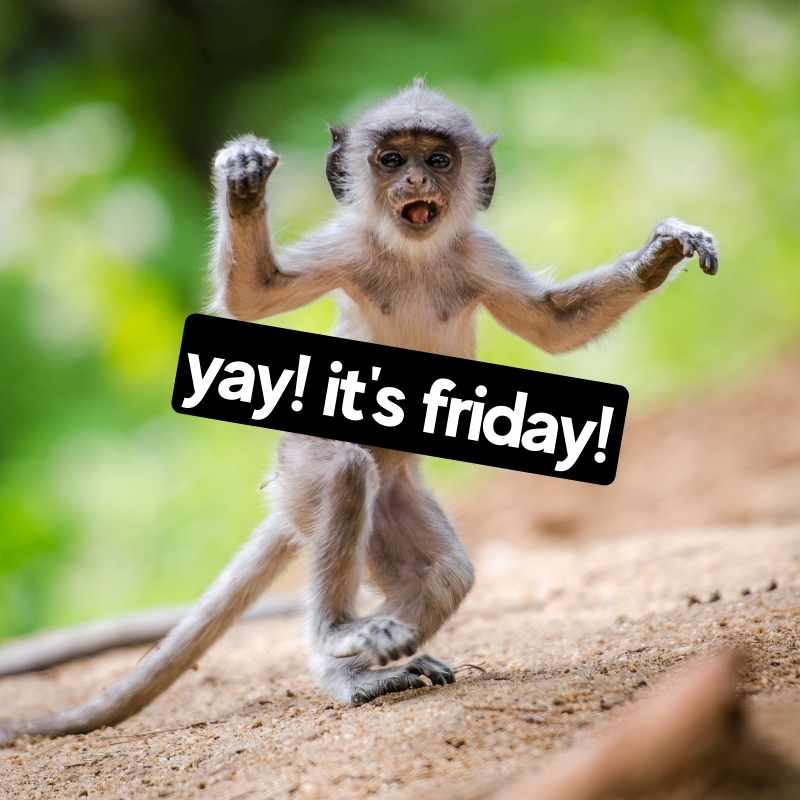 75 Funny Friday Memes That Will Have You Saying TGIF!