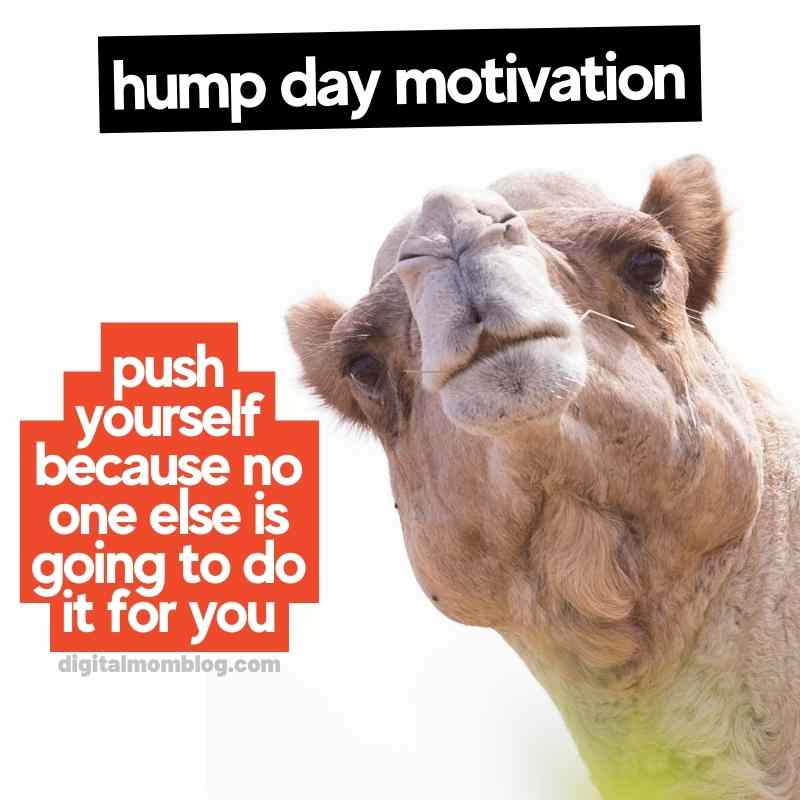 30 Hump Day Memes To Help You Laugh Thru Wednesday