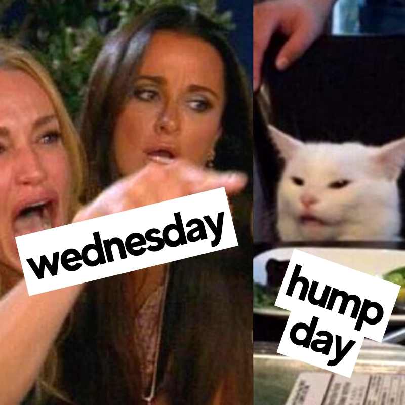 50 Fun Wednesday Memes To Get You Through The Mid-Week Slump