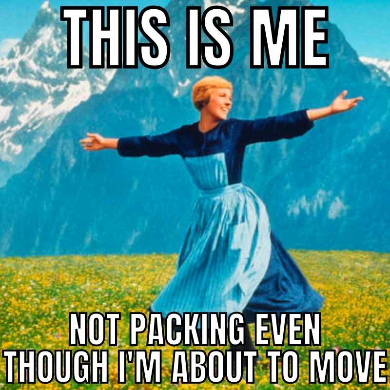 15 Hilarious Moving Memes That Capture The Chaos Of Relocating