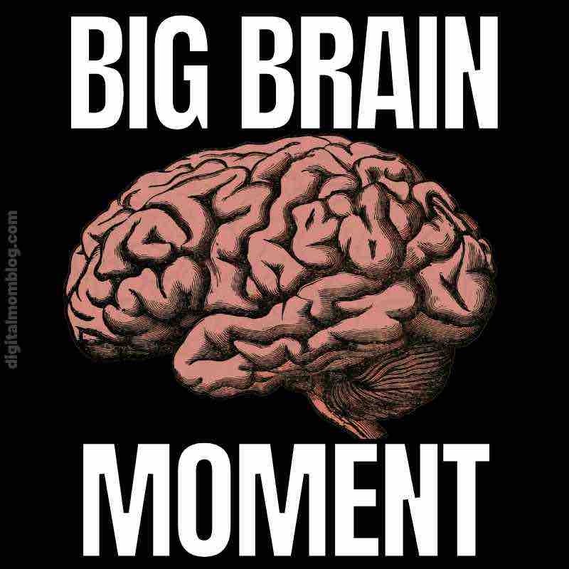 20 Funny Big Brain Memes And GIFs For Genius Smarty Pants