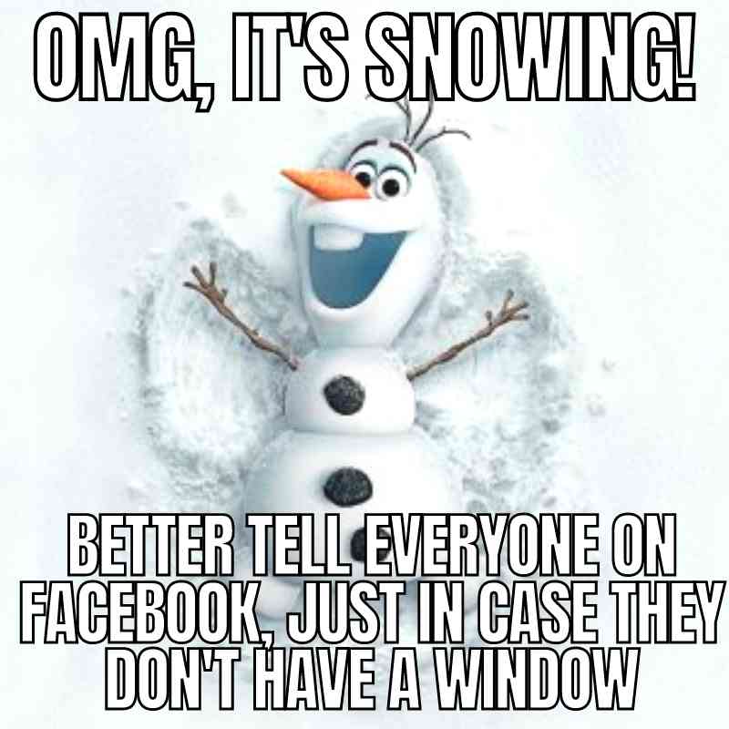 40 Funny Snow Memes That Capture The Frosty Fun