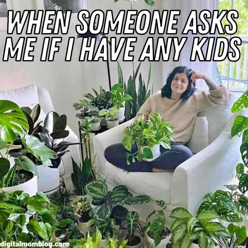 40 Hilarious Plant Memes That Every Gardener Can Relate To