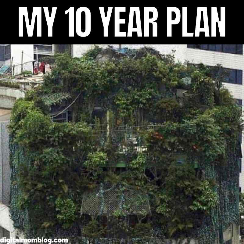 40 Hilarious Plant Memes That Every Gardener Can Relate To