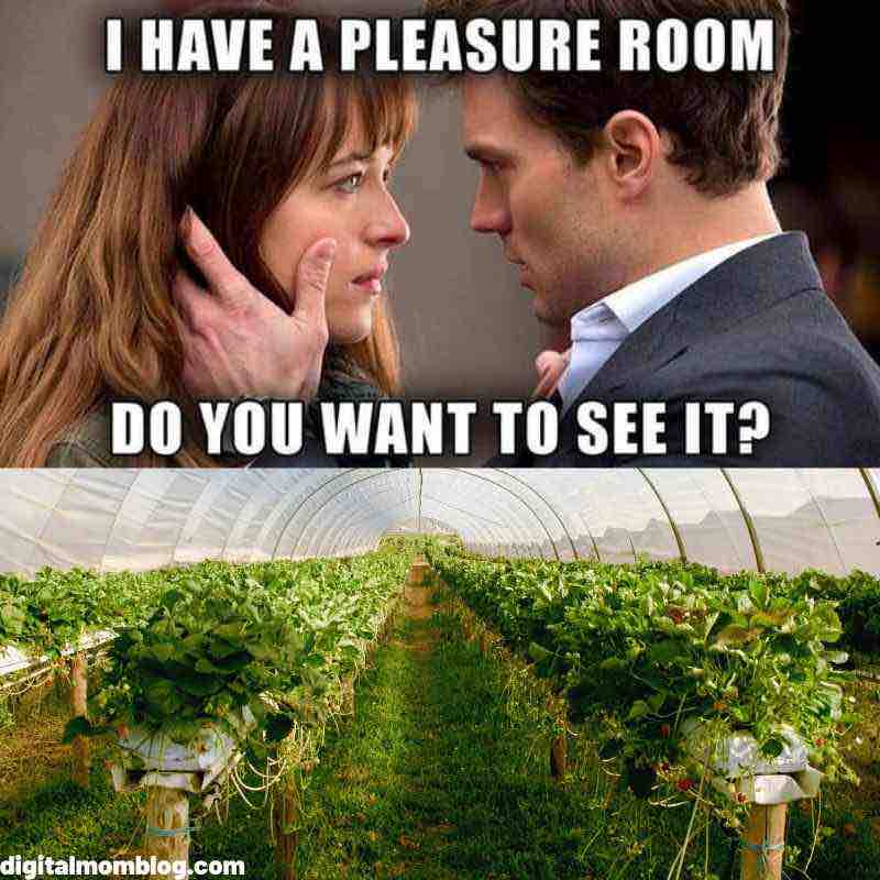 40 Hilarious Plant Memes That Every Gardener Can Relate To