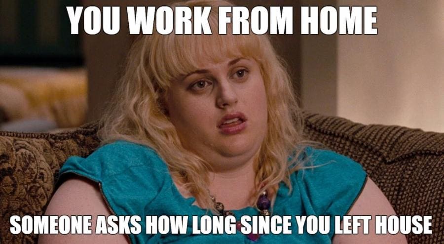 70 Funny Work From Home Memes Remote Workers Will Relate To